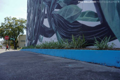 Central_StPete_2022-40