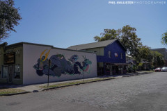 Central_StPete_2022-5