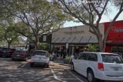 Central_StPete_2022-52