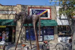 Central_StPete_2022-54