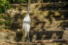 Taipei_Trip_2023-137