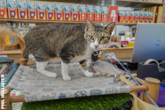 Taipei_Trip_2023-249