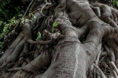 Tel_Aviv_2019-7085