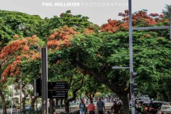 Tel_Aviv_2019-7166