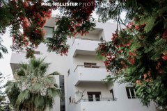 Tel_Aviv_2019-7171