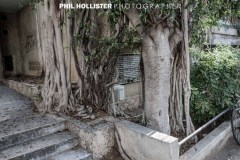 Tel_Aviv_2019-7196