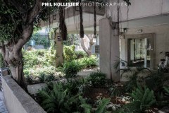 Tel_Aviv_2019-7444