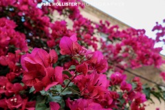 Tel_Aviv_2019-7516