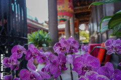 Taipei_Trip_2023-179