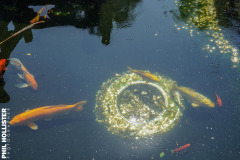 Taipei_Trip_2023-228