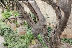 Valencia_byPhilHollister-2837