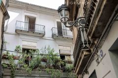 Valencia_byPhilHollister-2865