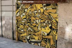 Valencia_byPhilHollister-2892
