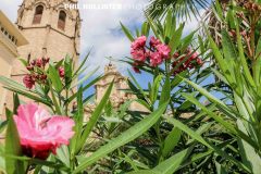 Valencia_byPhilHollister-2922